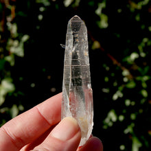 Load image into Gallery viewer, Colombian Lemurian Seed Quartz Crystal Laser Starbrary Bridge, Peñas Blancas
