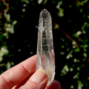 Colombian Lemurian Seed Quartz Crystal Laser Starbrary Bridge, Peñas Blancas