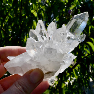Starburst Lemurian Silver Quartz Crystal Flower Cluster, Optical Master Starbrary Corinto Quartz, Brazil