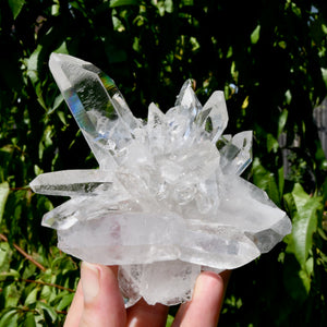 Starburst Lemurian Silver Quartz Crystal Flower Cluster, Optical Master Starbrary Corinto Quartz, Brazil
