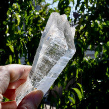 Load image into Gallery viewer, DT ET Isis Face Colombian Lemurian Seed Crystal Starbrary Record Keepers, Boyaca, Colombia
