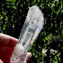 Load image into Gallery viewer, DT ET Isis Face Colombian Lemurian Seed Crystal Starbrary Record Keepers, Boyaca, Colombia

