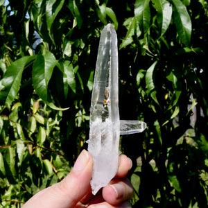 Colombian Lemurian Seed Crystal Laser Bridge Starbrary