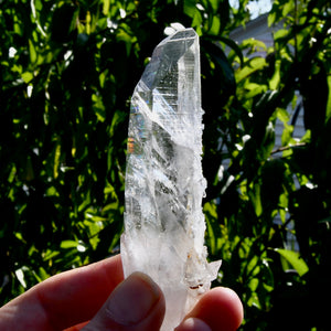 Grounding Devic Temple Colombian Lemurian Seed Crystal Record Keepers