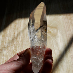 Colombian Lemurian Seed Crystal Starbrary Record Keepers