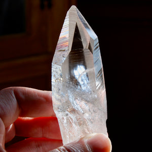 Colombian Lemurian Seed Crystal Starbrary Record Keepers