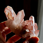 Tantric Twin Strawberry Pink Scarlet Temple Lemurian Quartz Crystal Cluster Dreamsicle