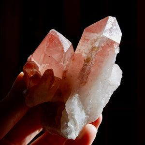  Isis Face Tantric Twin Soulmate Strawberry Pink Lemurian Quartz Crystal Cluster Dreamsicle