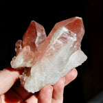  Isis Face Tantric Twin Soulmate Strawberry Pink Lemurian Quartz Crystal Cluster Dreamsicle