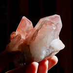  Isis Face Tantric Twin Soulmate Strawberry Pink Lemurian Quartz Crystal Cluster Dreamsicle