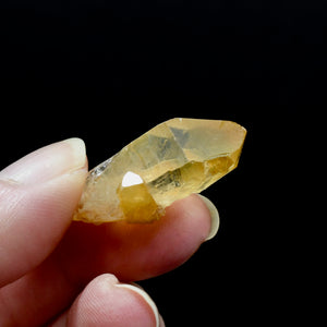 RARE Golden Healer Lemurian Quartz Crystal Starbrary