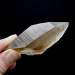 Pink Shadow Lemurian Seed Quartz Crystal Starbrary, Smoky Scarlet Temple Lemurian Crystals, Brazil