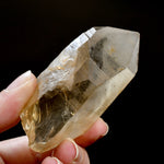 Pink Shadow Lemurian Seed Quartz Crystal Starbrary, Smoky Scarlet Temple Lemurian Crystals, Brazil
