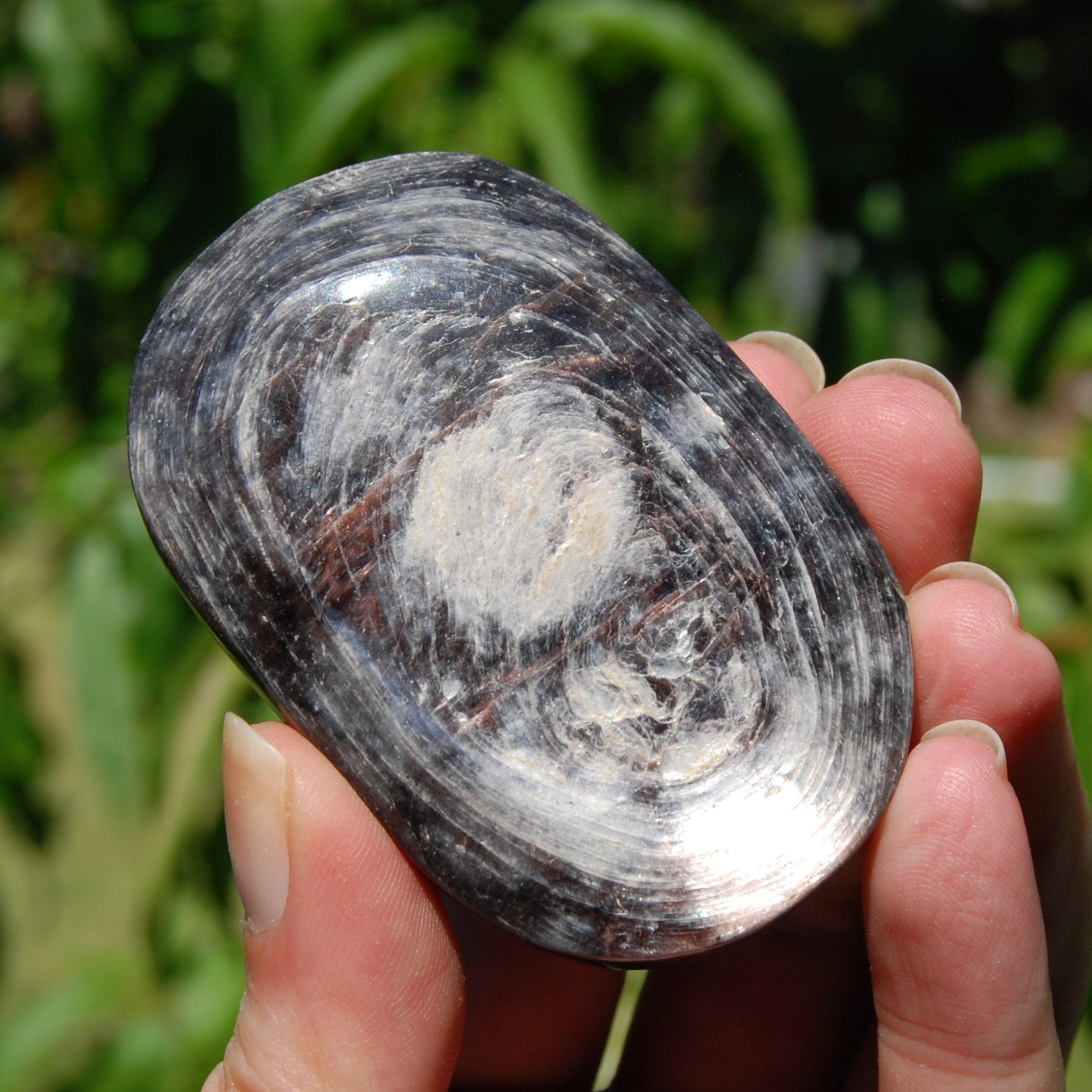 Gem Lepidolite Crystal Palm Stone