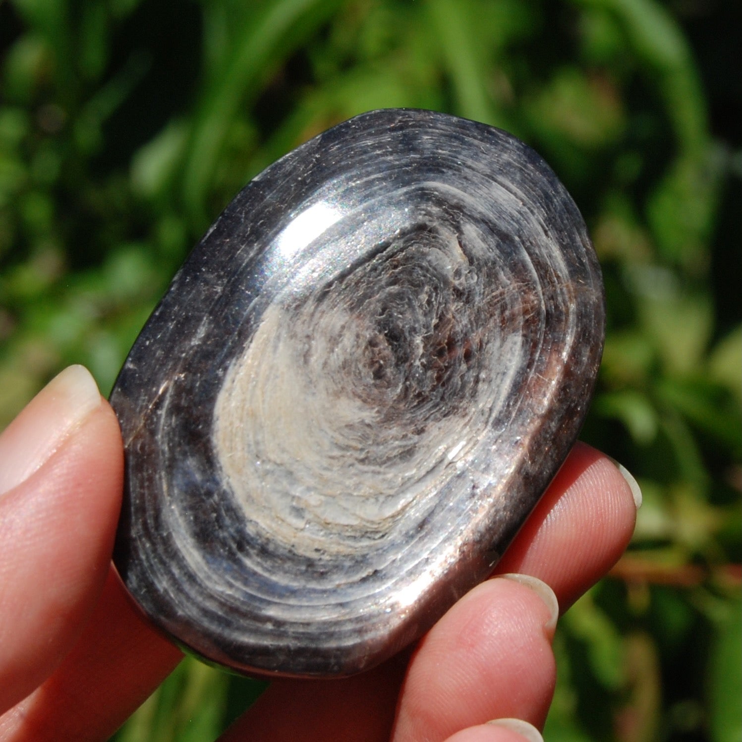 Gem Lepidolite Crystal Palm Stone