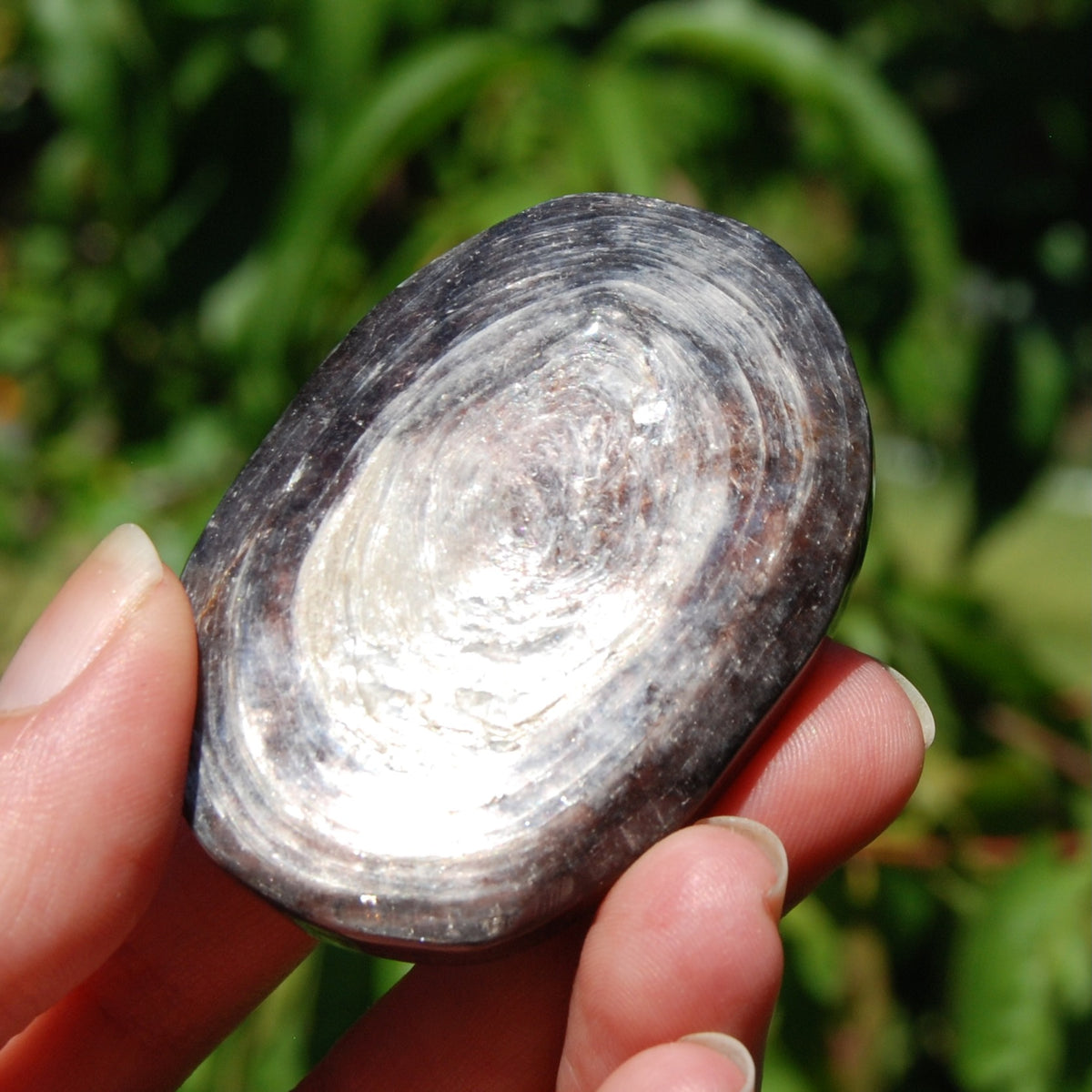 Gem Lepidolite Crystal Palm Stone