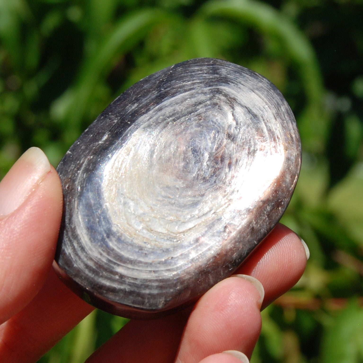 Gem Lepidolite Crystal Palm Stone
