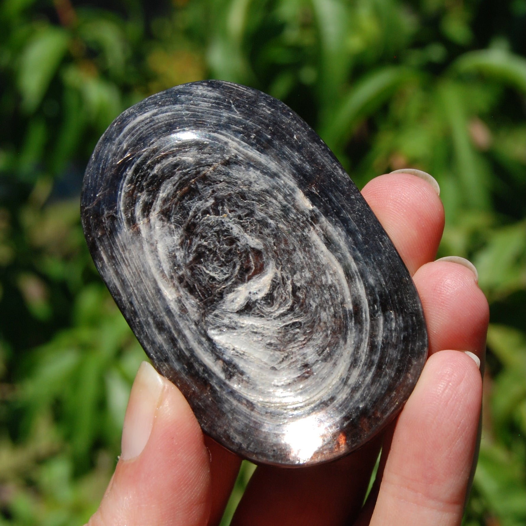 Gem Lepidolite Crystal Palm Stone