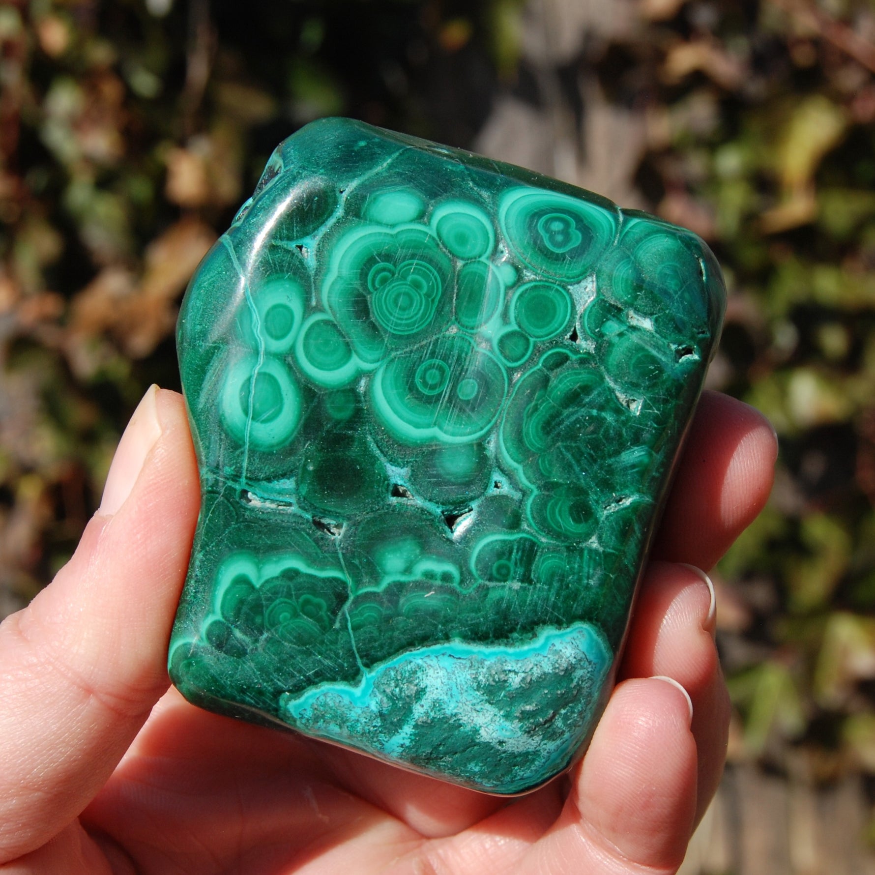 Malachite Chrysocolla Crystal Free Form Palm Stone
