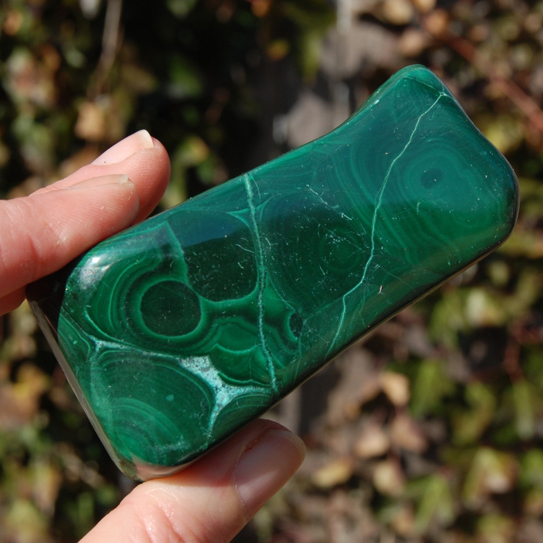Malachite Chrysocolla Crystal Free Form Palm Stone