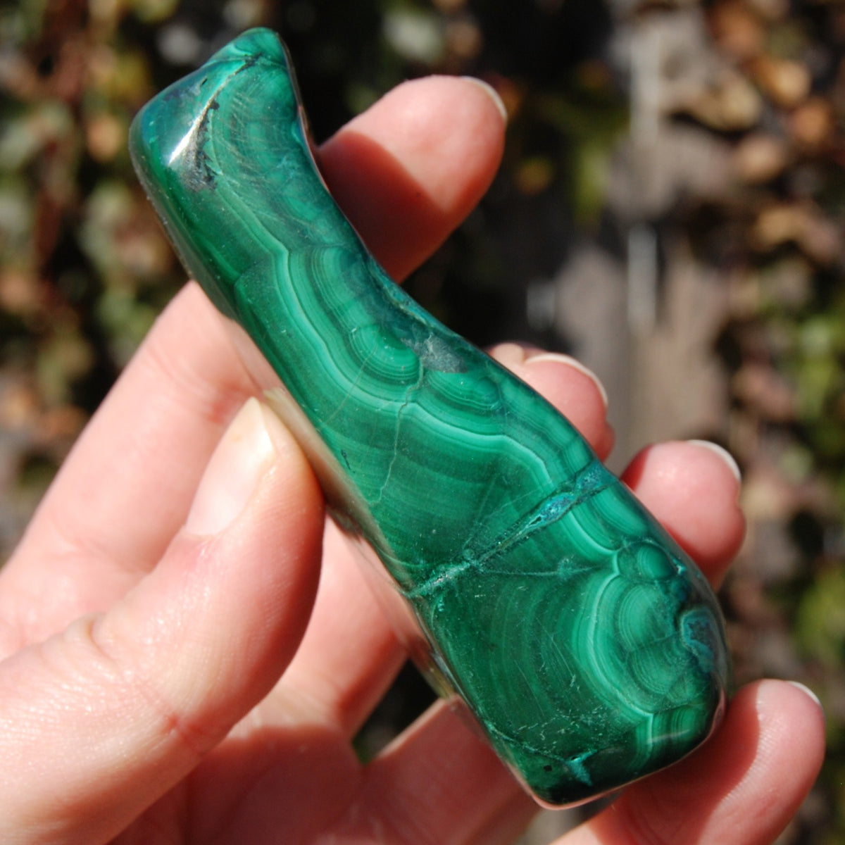 Malachite Chrysocolla Crystal Free Form Palm Stone