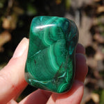 Malachite Chrysocolla Crystal Free Form Palm Stone