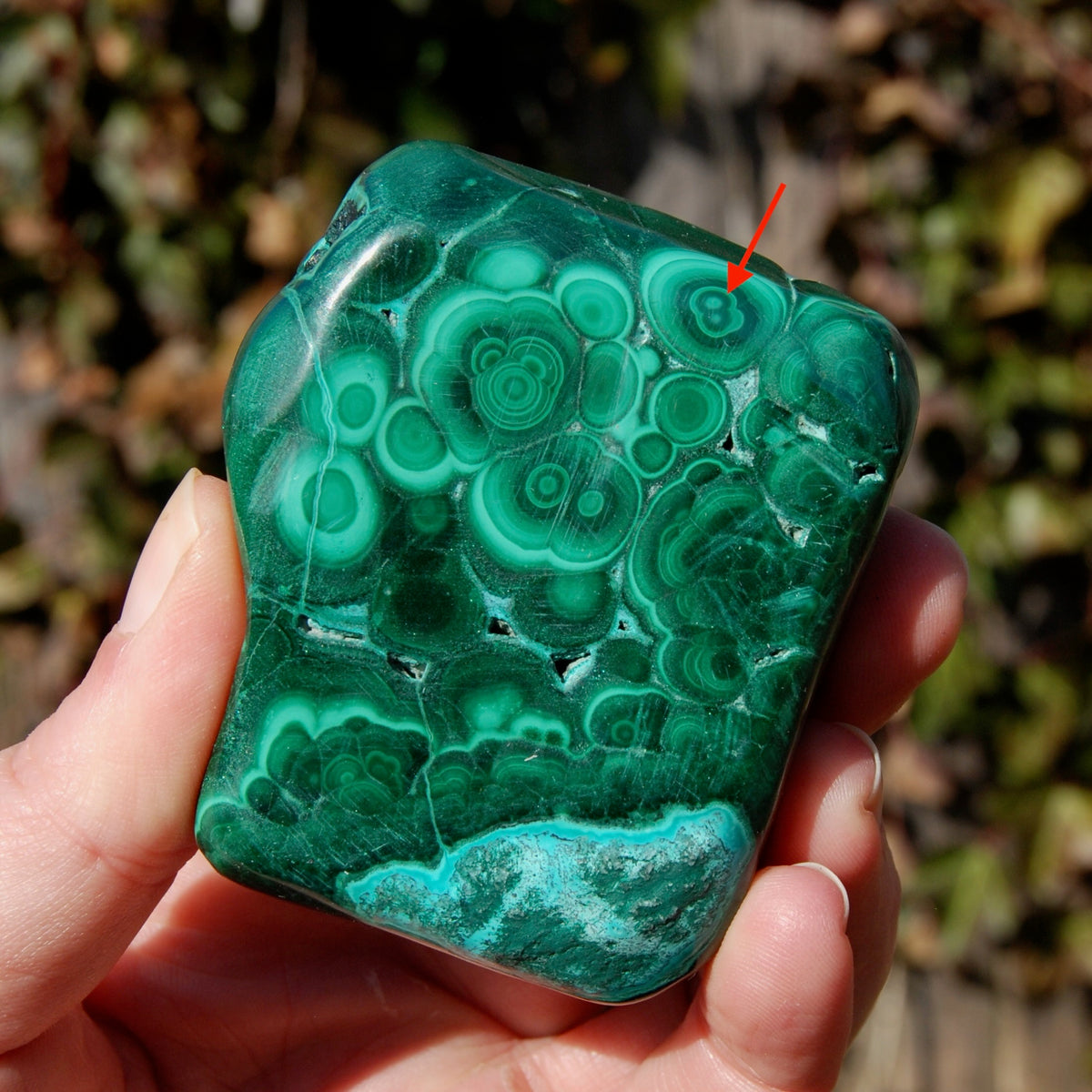 Malachite Chrysocolla Crystal Free Form Palm Stone