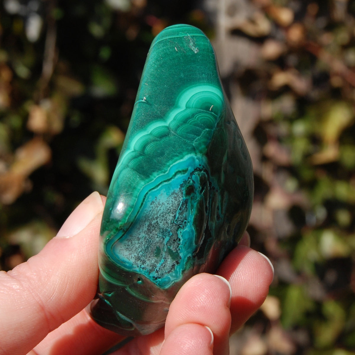 Malachite Chrysocolla Crystal
