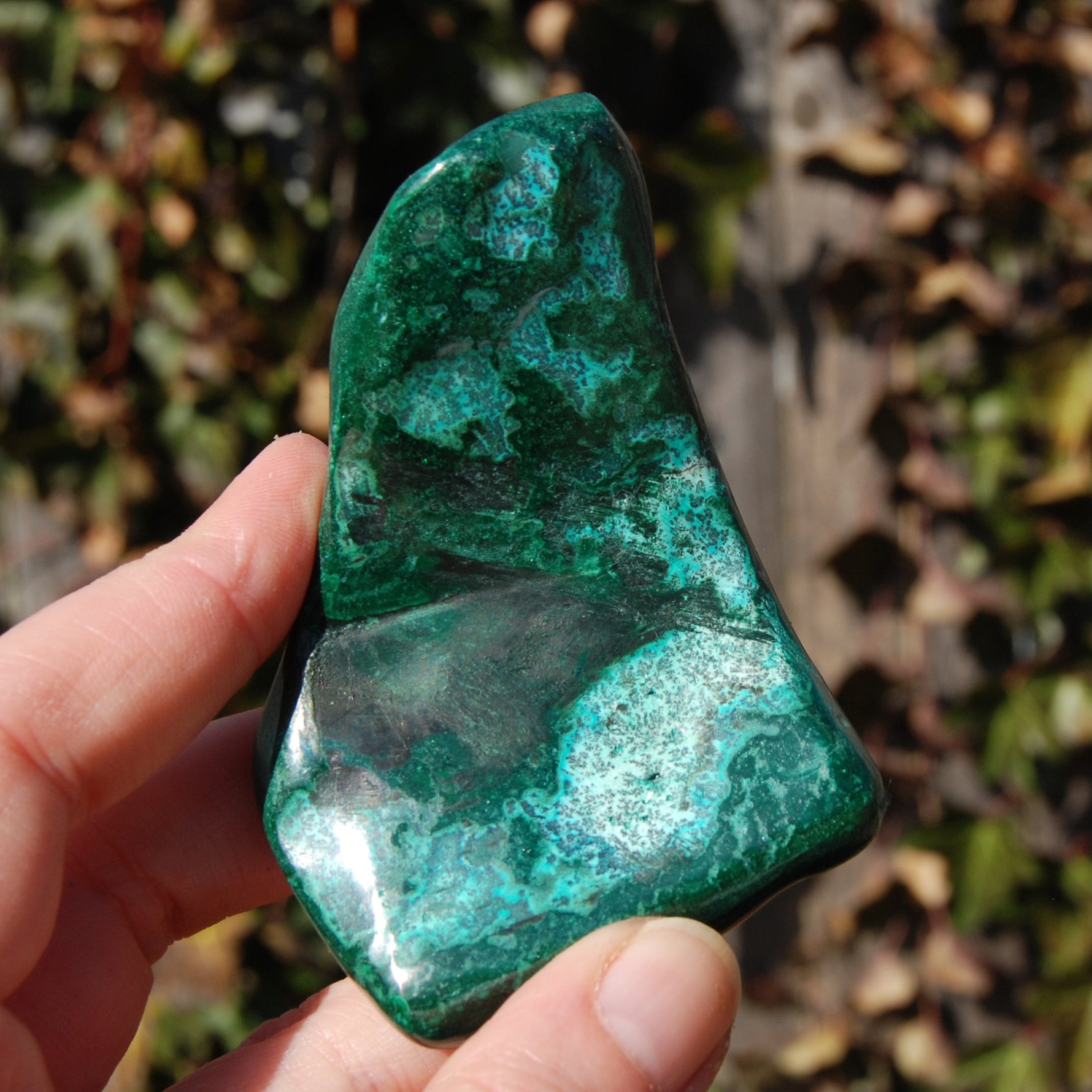 Malachite Chrysocolla Crystal