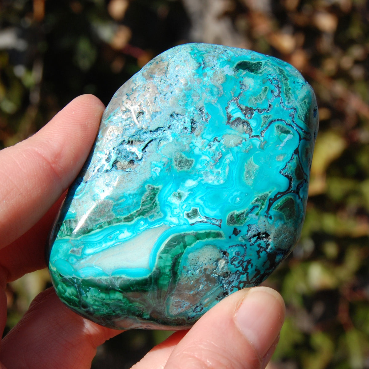 Malachite Chrysocolla Crystal