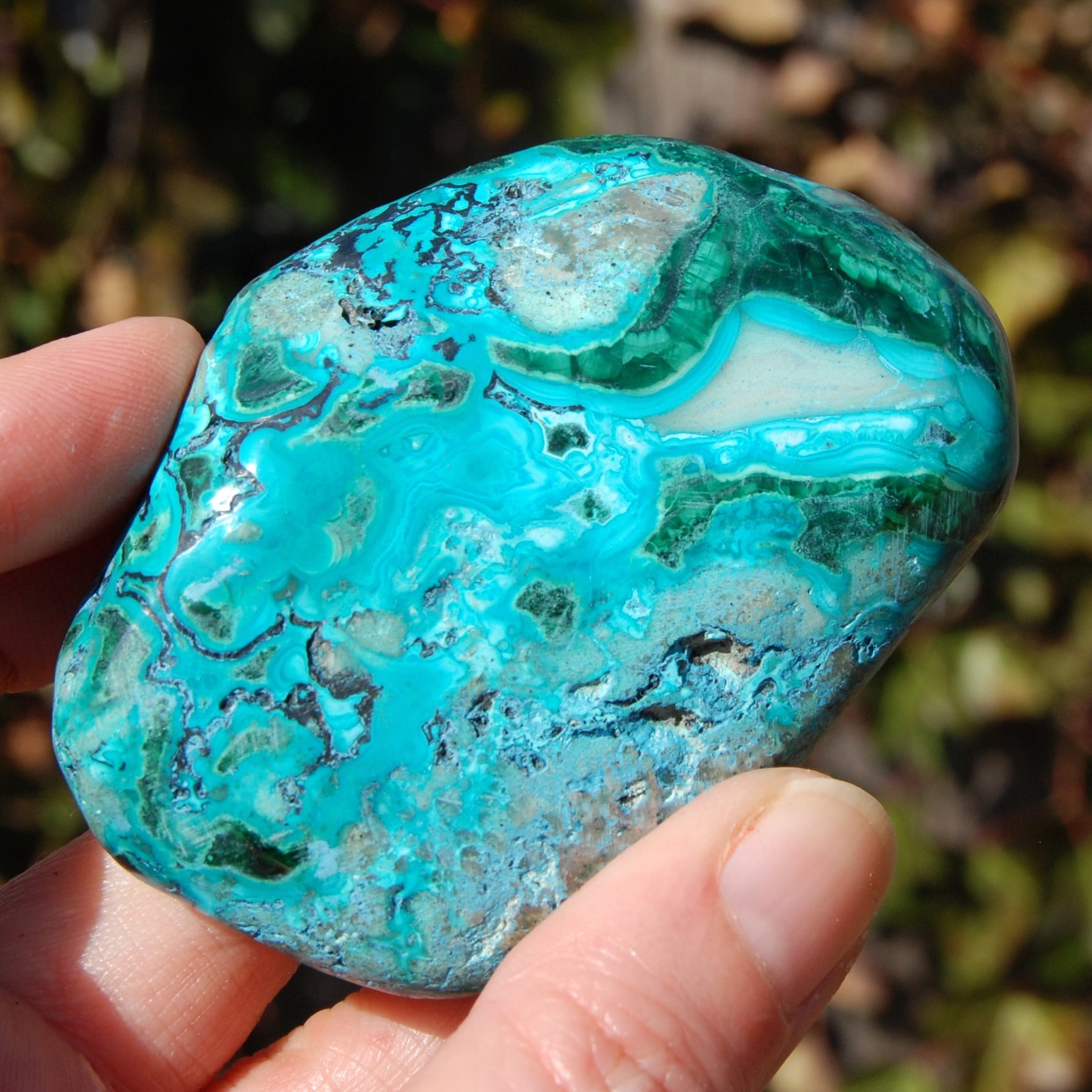 Malachite Chrysocolla Crystal