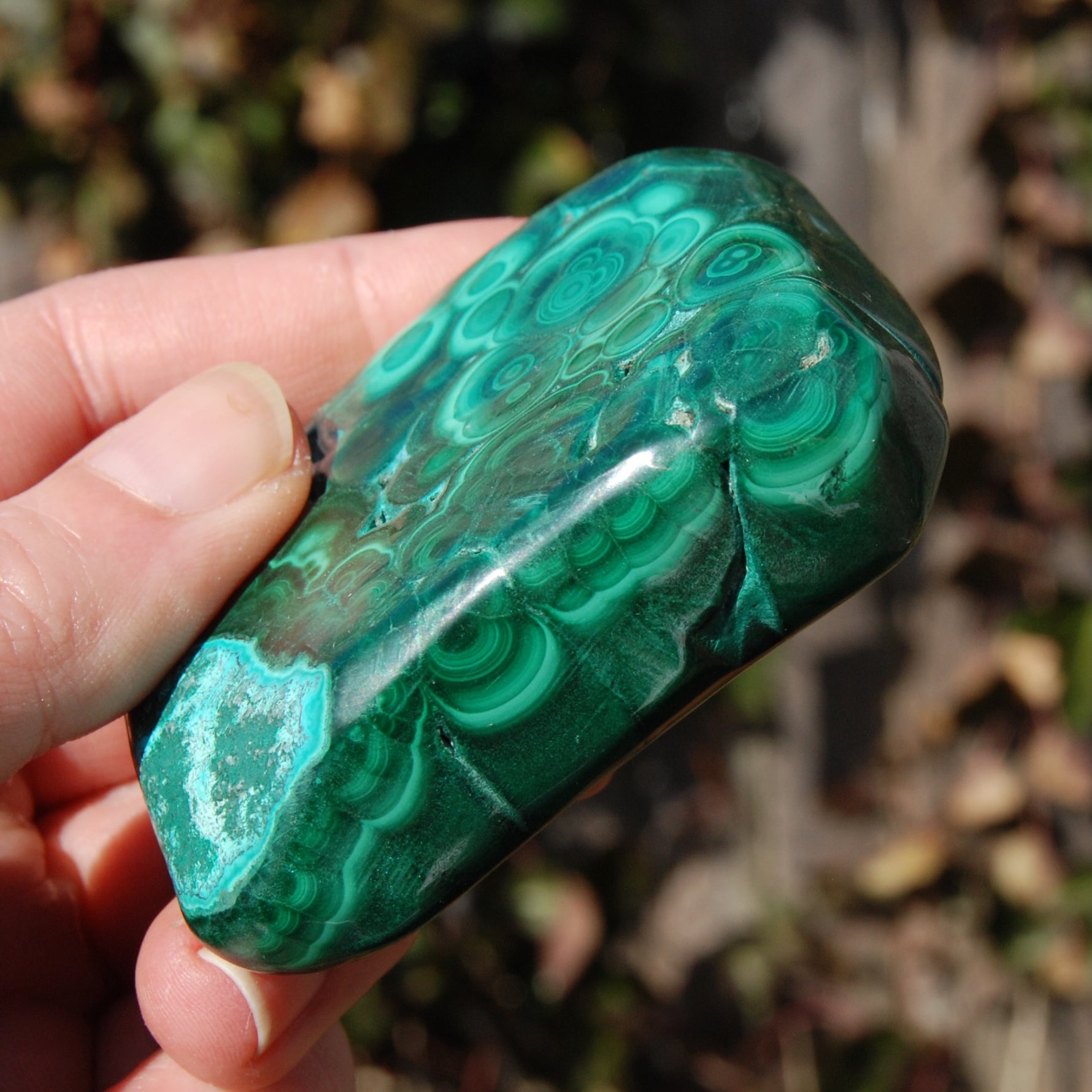 Malachite Chrysocolla Crystal Free Form Palm Stone