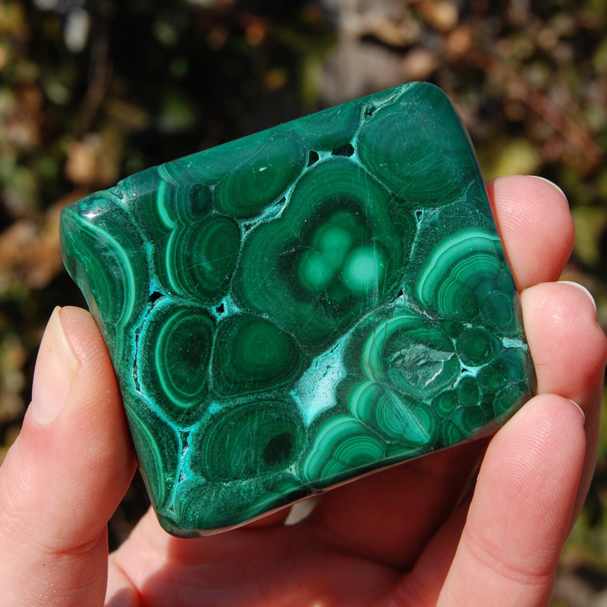 Malachite Chrysocolla Crystal Free Form Palm Stone