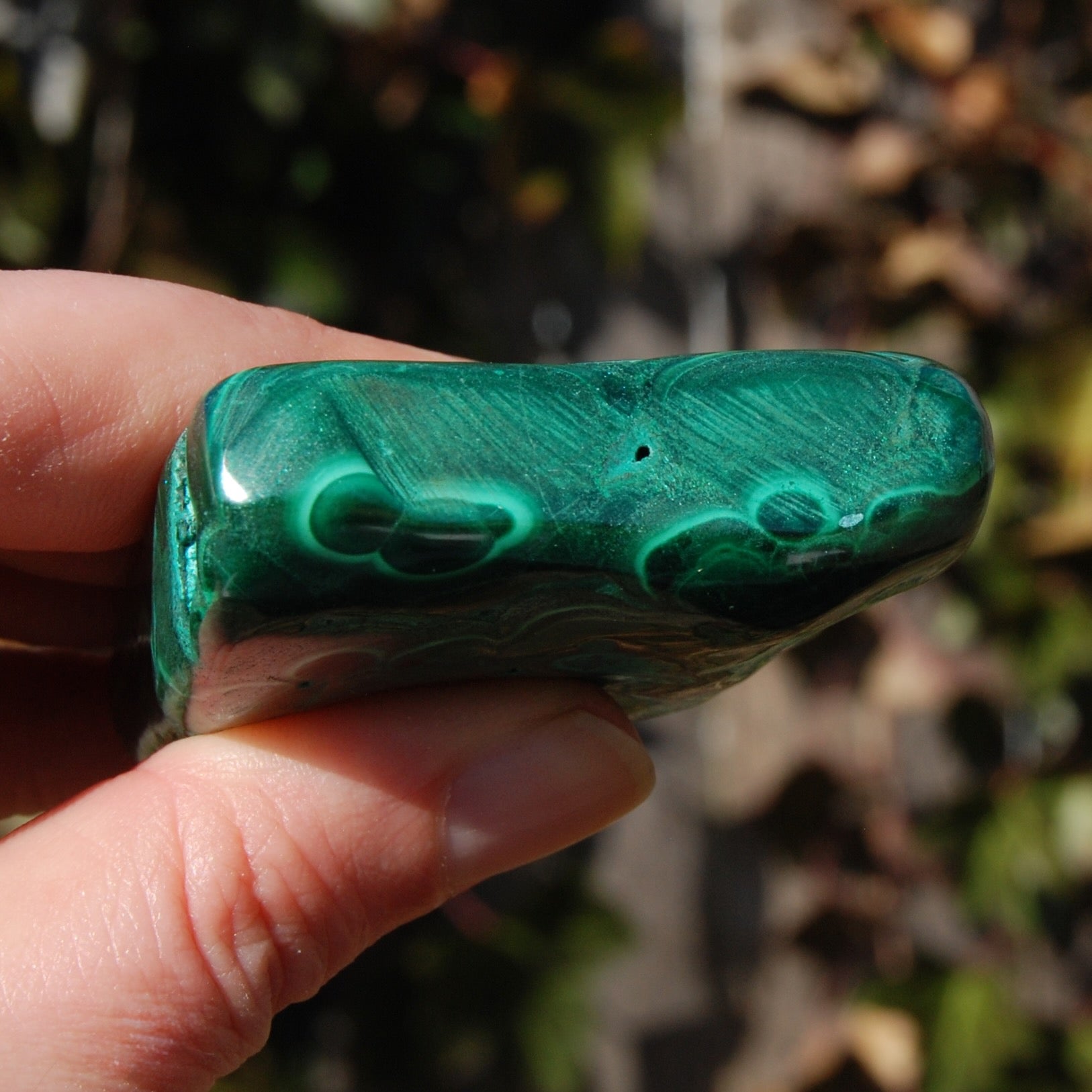 Malachite Chrysocolla Crystal Free Form Palm Stone