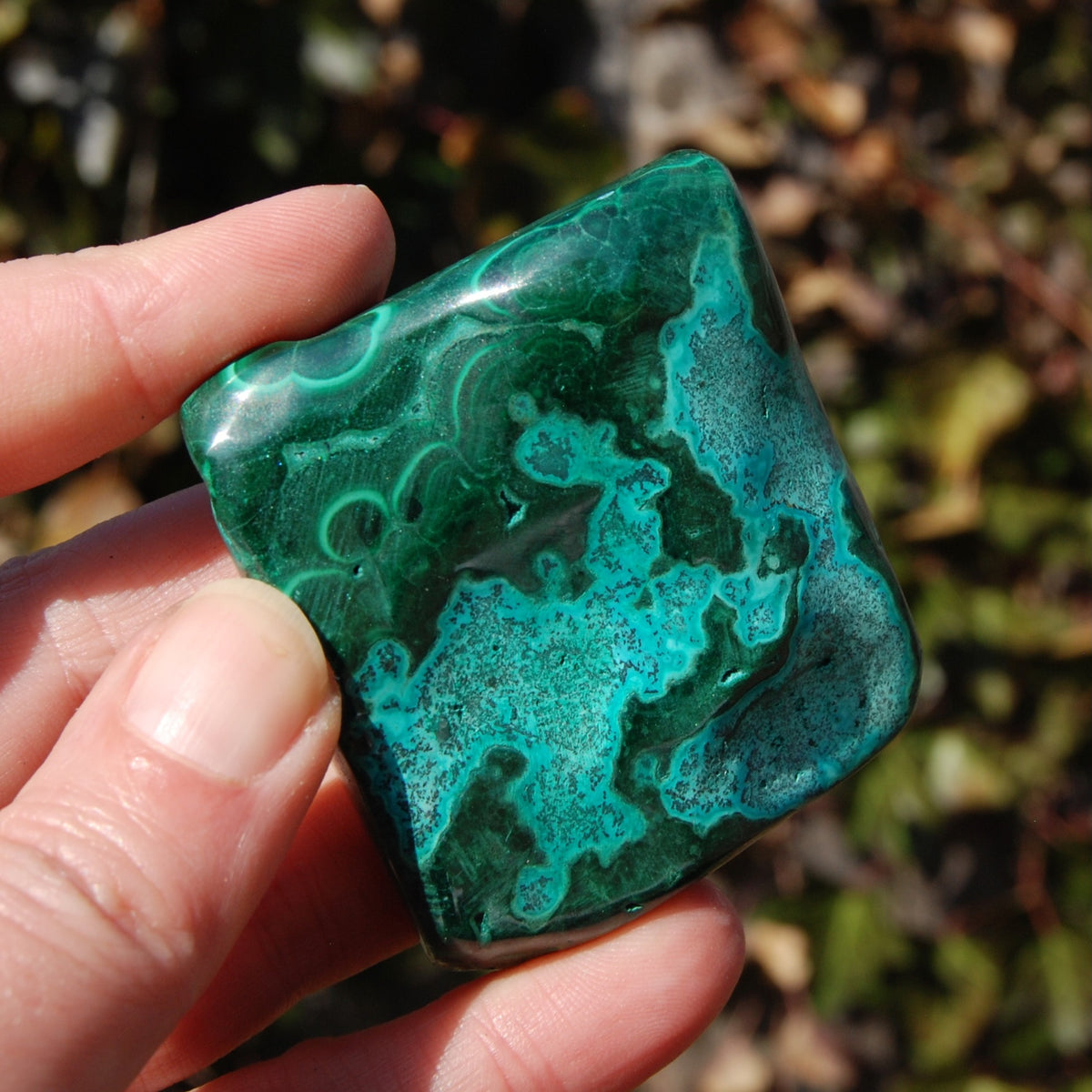 Malachite Chrysocolla Crystal Free Form Palm Stone