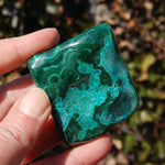 Malachite Chrysocolla Crystal Free Form Palm Stone