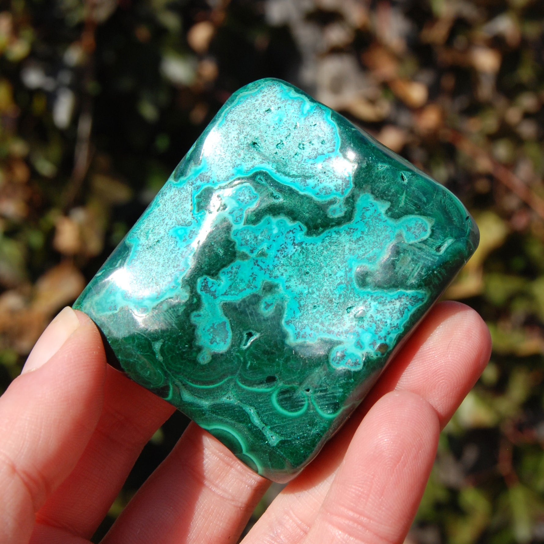 Malachite Chrysocolla Crystal Free Form Palm Stone