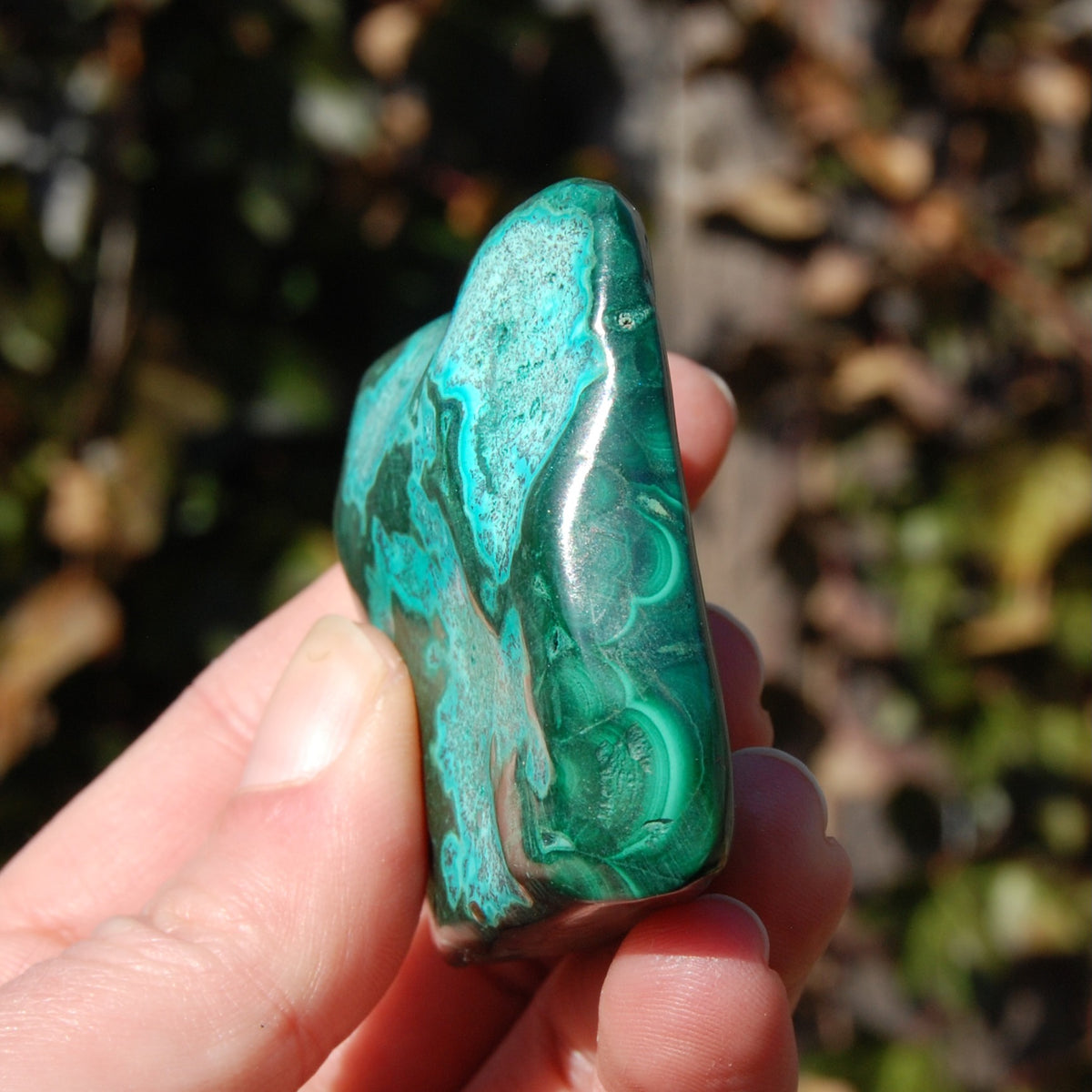 Malachite Chrysocolla Crystal Free Form Palm Stone