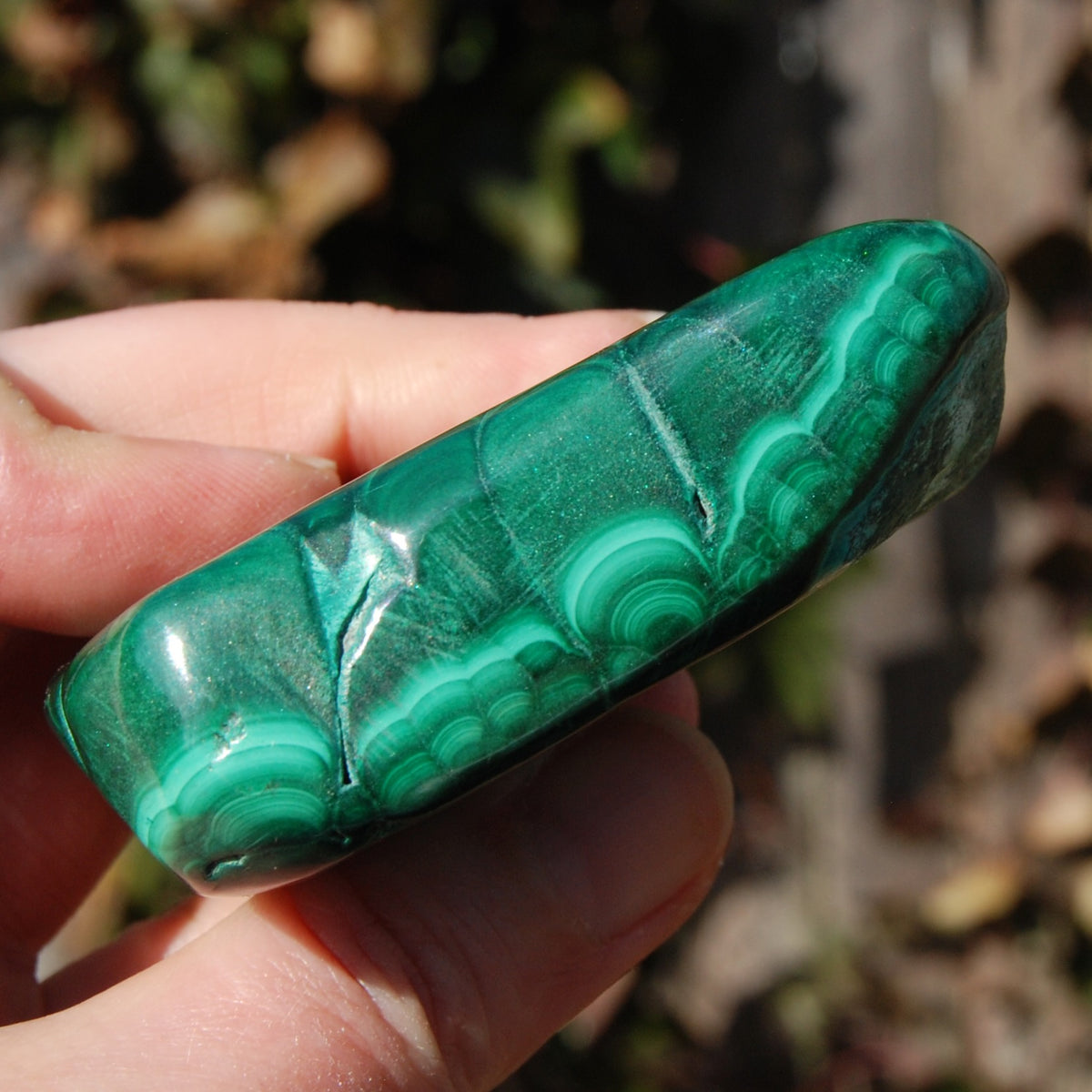 Malachite Chrysocolla Crystal Free Form Palm Stone