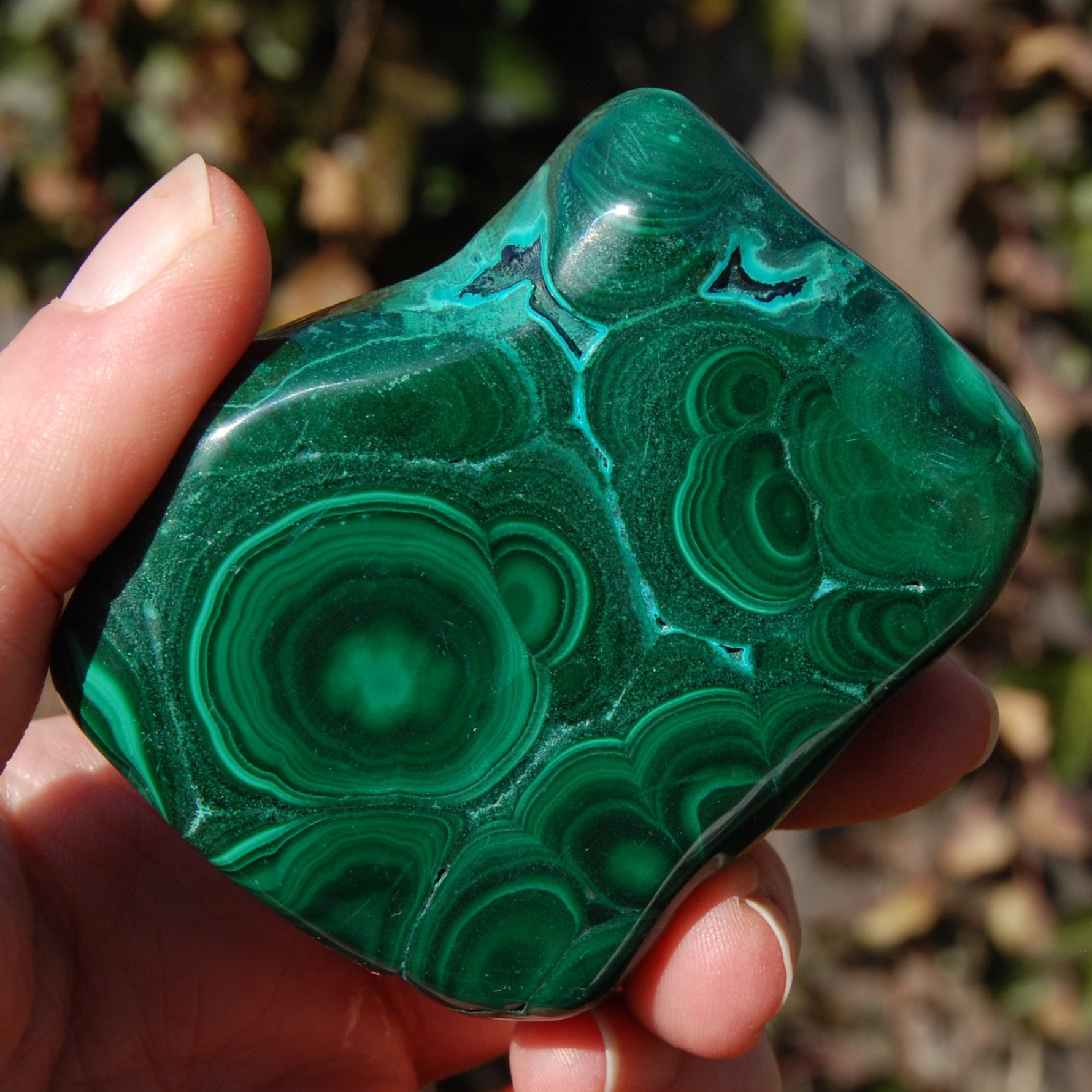 Malachite Chrysocolla Crystal Free Form Palm Stone