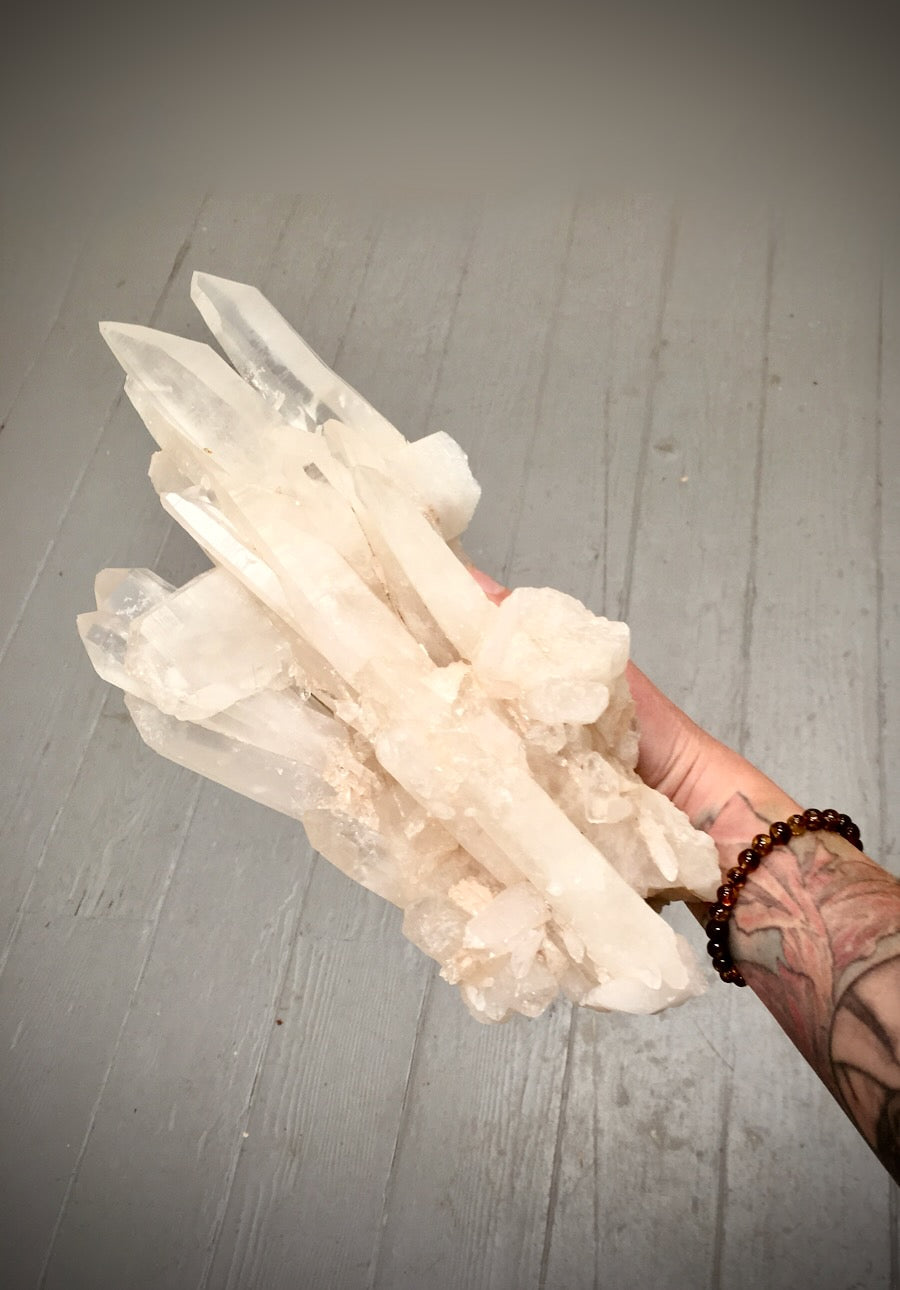 Caspar Curiosities - Crystals, Carvings & Metaphysical Tools