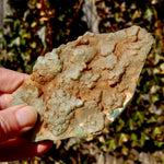 Mtorolite Chrome Chalcedony Crystal Slice
