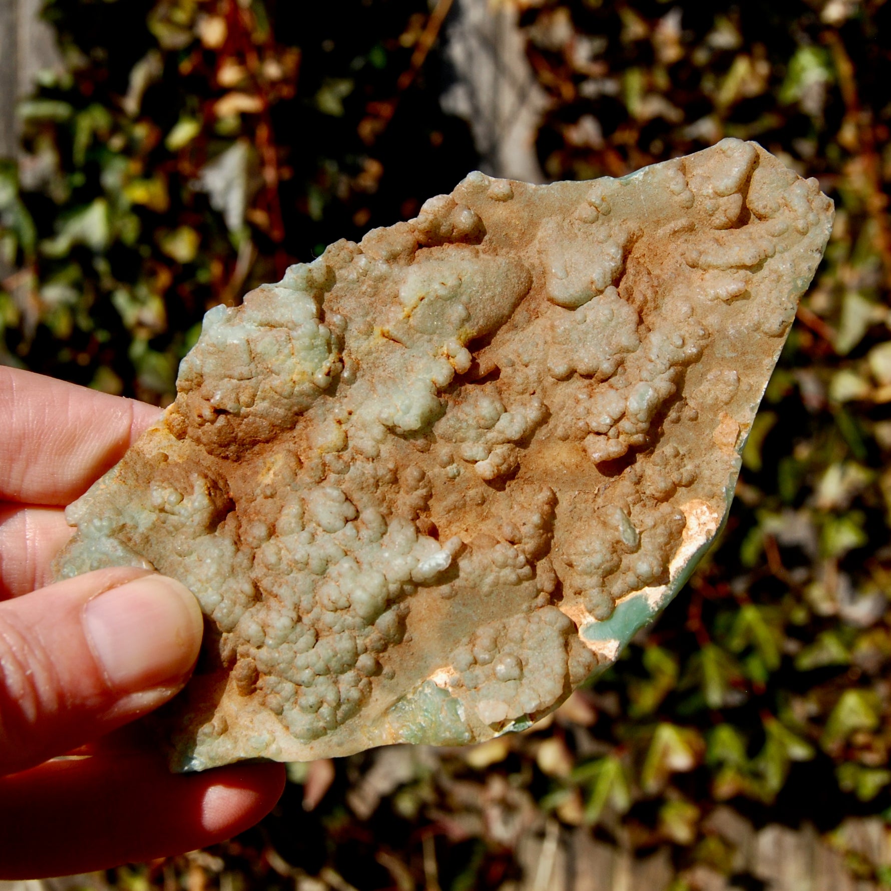 Mtorolite Chrome Chalcedony Crystal Slice