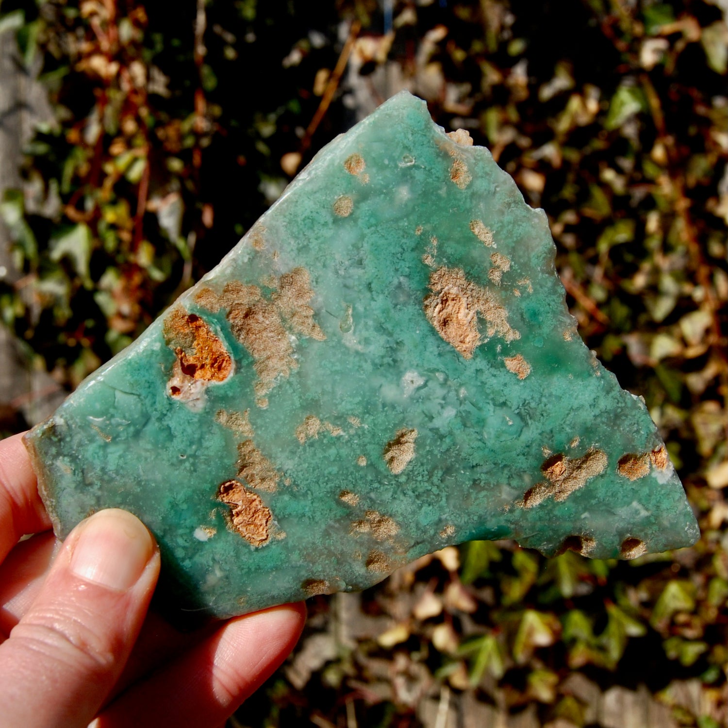 Mtorolite Chrome Chalcedony Crystal Slice