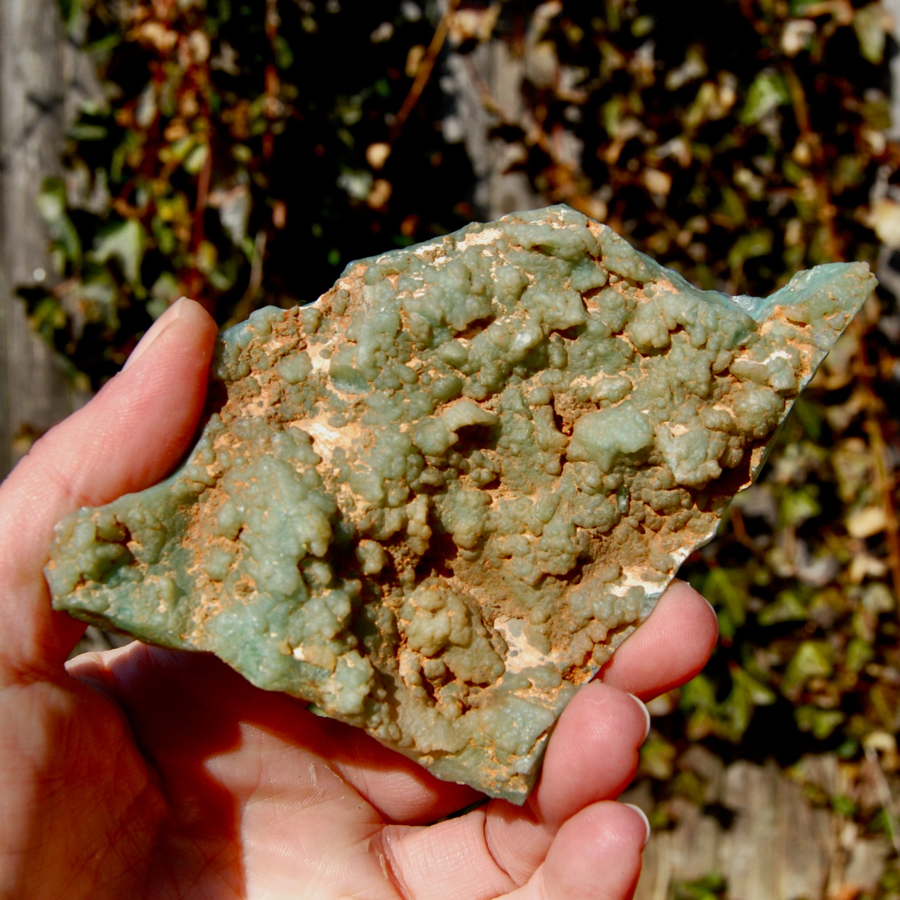 Mtorolite Chrome Chalcedony Crystal Slice
