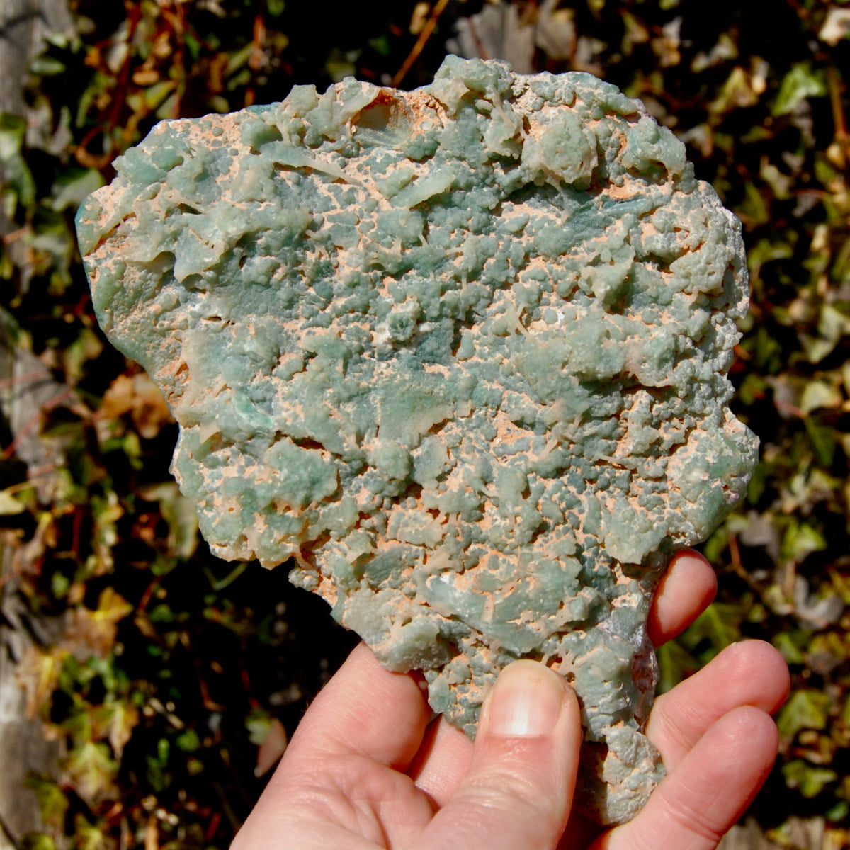 Mtorolite crystal, chrome chalcedony