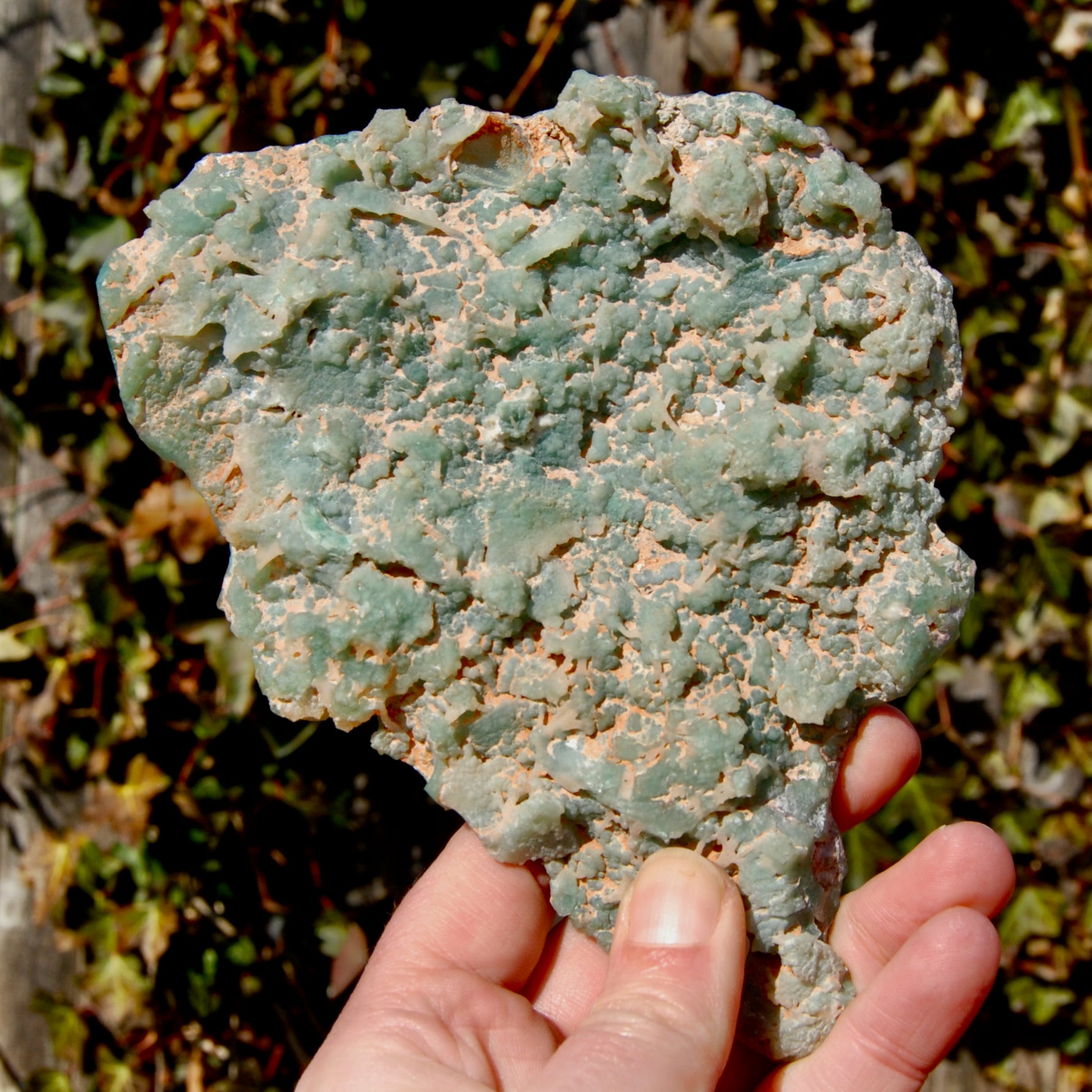 Mtorolite crystal, chrome chalcedony