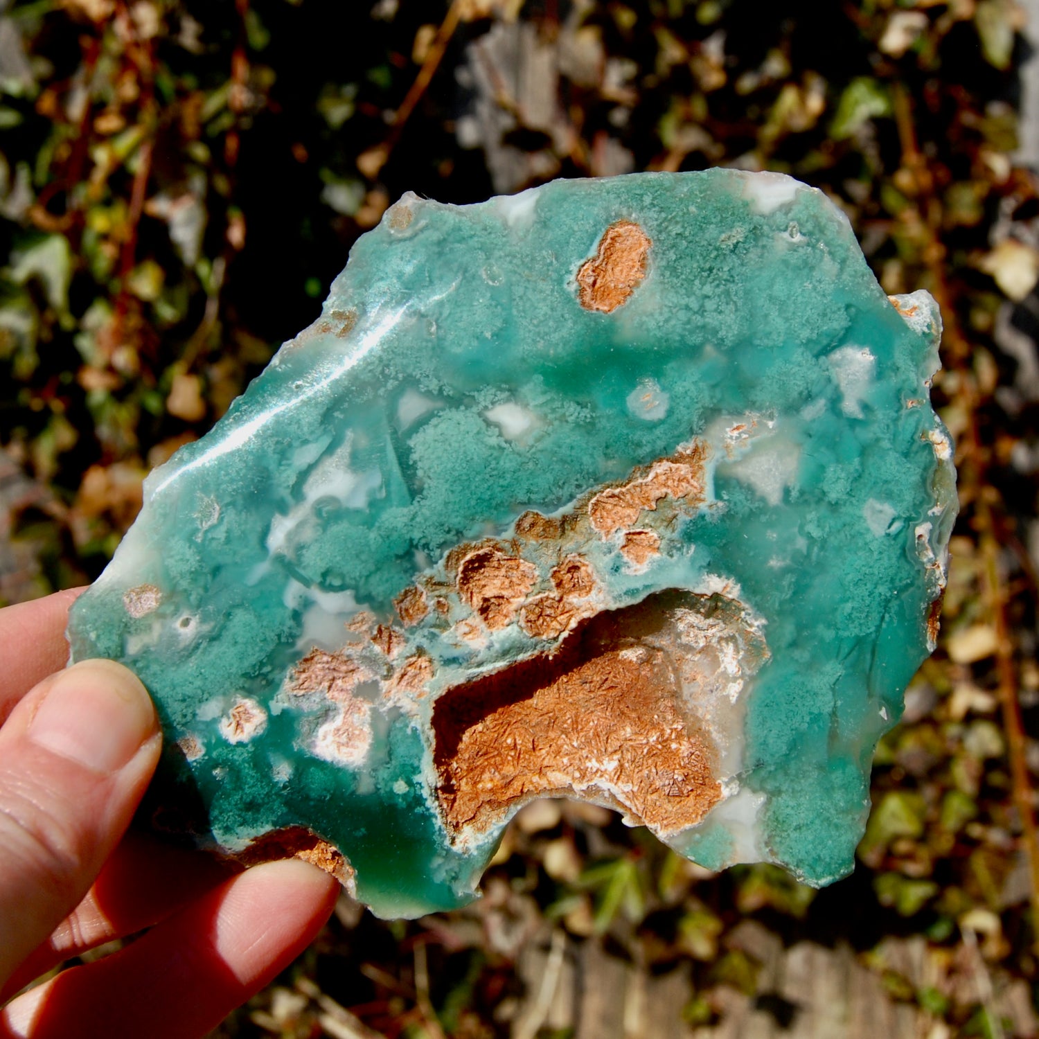 Mtorolite Chrome Chalcedony Crystal Slice