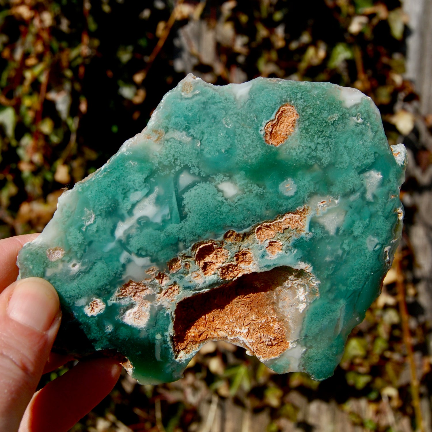 Mtorolite Chrome Chalcedony Crystal Slice