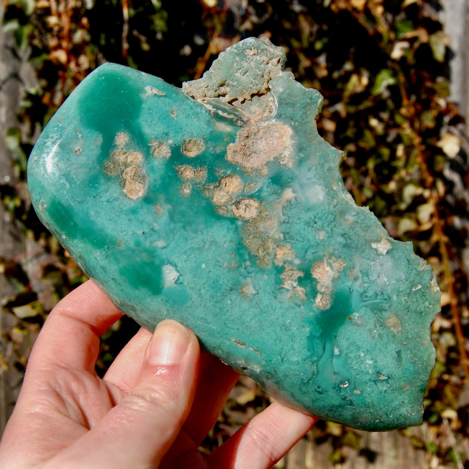 XL Mtorolite Chrome Chalcedony Crystal Slice